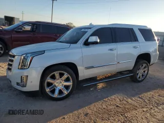 2018 Cadillac Escalade Premium Luxury with VIN 1GYS3CKJ9JR225077, listed as a Copart auction lot 79563714 with 0 mi miles and Salvage Title. Bid and sale history available at carsss.com. Image 1.