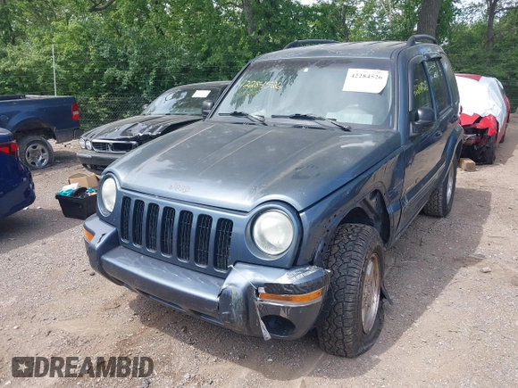 2002 Jeep Liberty Limited z VIN 1J4GL58KX2W339237, wystawiony jako IAAI lot #42284526 z przebiegiem 183 416 mil mil oraz . Historia ofert i sprzedaży dostępna na DreamBid. Obrazek 17.