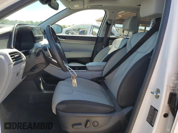 2020 Hyundai Palisade SEL with VIN KM8R34HE4LU110211, listed as a Copart auction lot 58011805 with 64,216 mi miles and Salvage title. Bid and sale history available at DreamBid. Image 7.