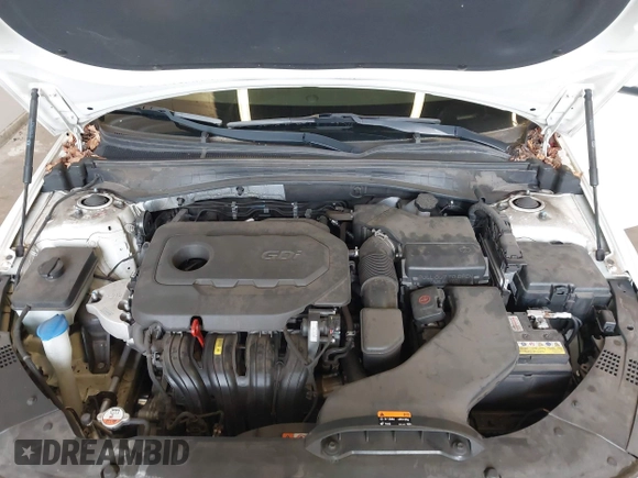 2016 Kia Optima LX with VIN KNAGT4L39G5074319, listed as a IAAI auction lot 41827438 with 51,373 mi miles. Bid and sale history available at carsss.com. Image 10.