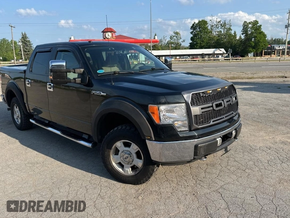 2009 Ford F-150 XL with VIN 1FTRW12889FB24610, listed as a Copart auction lot 62431355 with 254,000 mi miles and Clean title. Bid and sale history available at DreamBid. Image 1.