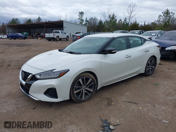 2021 Nissan Maxima SV with VIN 1N4AA6CV1MC504255, listed as a IAAI auction lot 41728763 with 112,524 mi miles and . Bid and sale history available at DreamBid. Image 2.
