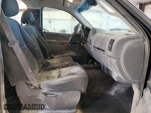 2012 Chevrolet Silverado 1500 Work Truck with VIN 1GCNKPE03CZ182309, listed as a Copart auction lot 73917754 with 205,887 mi miles and Non Repairable. Bid and sale history available at DreamBid. Image 10.