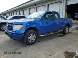 2014 Ford F-150 XL with VIN 1FTEX1EM8EFB08454, listed as a Copart auction lot 61613535 with 148,721 mi miles and Salvage title. Bid and sale history available at DreamBid. Image 1.