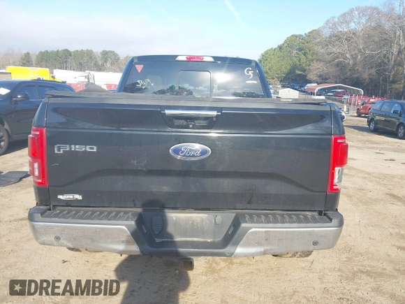 2017 Ford F-150 XL with VIN 1FTEW1EF3HFA84749, listed as a IAAI auction lot 41476220 with 174,958 mi miles. Bid and sale history available at carsss.com. Image 17.