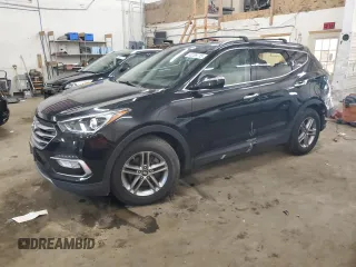 2017 Hyundai Santa Fe 2.4L with VIN 5NMZUDLB9HH049029, listed as a Copart auction lot 50208715 with 48,494 mi miles and Salvage title. Bid and sale history available at DreamBid. Image 1.