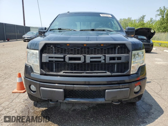 2010 Ford F-150 XL с VIN 1FTFW1EV4AFA25517, выставлен на аукционе Copart как лот 60453035 с пробегом 249 305 миль миль и Чистый • Clean title. История ставок и продаж доступна на DreamBid. Изображение 5.