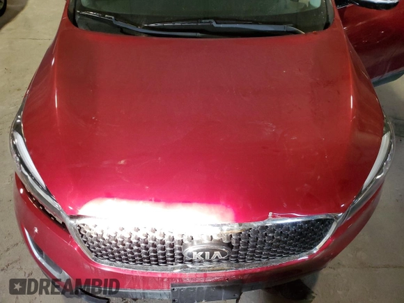 2017 Kia Sorento LX with VIN 5XYPGDA33HG322177, listed as a Copart auction lot 44310725 with 95,254 mi miles and Salvage Title. Bid and sale history available at carsss.com. Image 14.