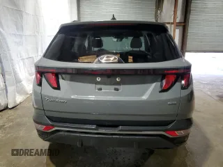 2024 Hyundai Tucson SEL with VIN 5NMJBCDEXRH383691, listed as a Copart auction lot 53918525 with 28,974 mi miles and Clean Title. Bid and sale history available at carsss.com. Image 6.