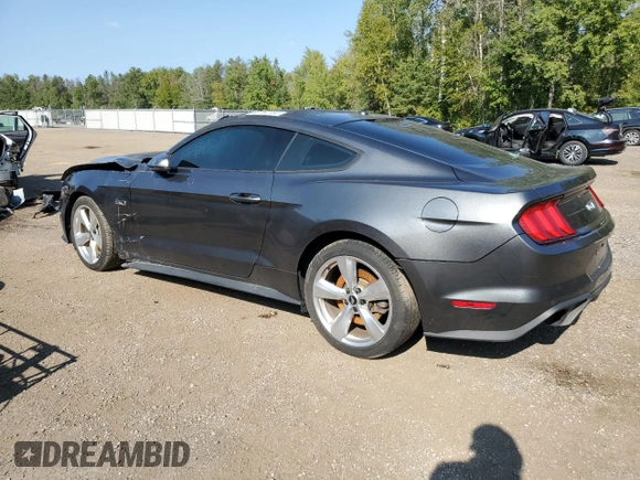 2019 Ford Mustang GT with VIN 1FA6P8CF6K5190189, listed as a Copart auction lot 68164184 with Not provided miles and Non repairable. Bid and sale history available at DreamBid. Image 2.