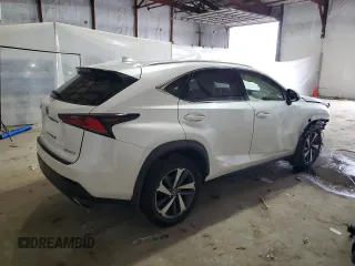 2019 Lexus NX 300 with VIN JTJBARBZ7K2190454, listed as a Copart auction lot 58147985 with 104,118 mi miles and Salvage title. Bid and sale history available at DreamBid. Image 3.