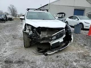 2019 Kia Sorento LX V6 with VIN 5XYPGDA53KG572916, listed as a Copart auction lot 46332115 with 93,941 mi miles and Salvage Title. Bid and sale history available at carsss.com. Image 15.