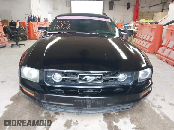 2008 Ford Mustang Deluxe with VIN 1ZVHT84N285117234, listed as a IAAI auction lot 42371134 with 235,658 mi miles and . Bid and sale history available at DreamBid. Image 6.