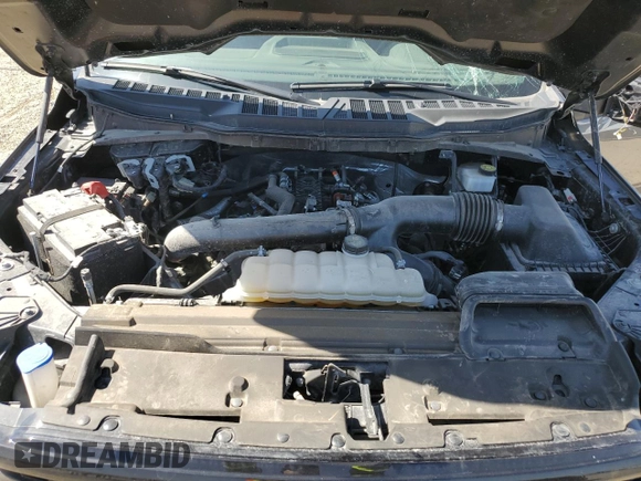 2024 Ford F-150 XLT with VIN 1FTFW3L8XRFA50880, listed as a Copart auction lot 55988475 with 28,170 mi miles and Clean Title. Bid and sale history available at DreamBid. Image 11.