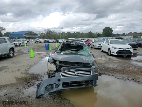 2013 Nissan Maxima 3.5 S with VIN 1N4AA5AP6DC842281, listed as a Copart auction lot 76785914 with 0 mi miles and Salvage Title. Bid and sale history available at carsss.com. Image 11.