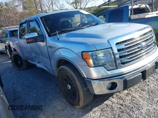 2013 Ford F-150 XL with VIN 1FTFW1CF4DFB87924, listed as a IAAI auction lot 41580804 with 173,352 mi miles and . Bid and sale history available at DreamBid. Image 1.