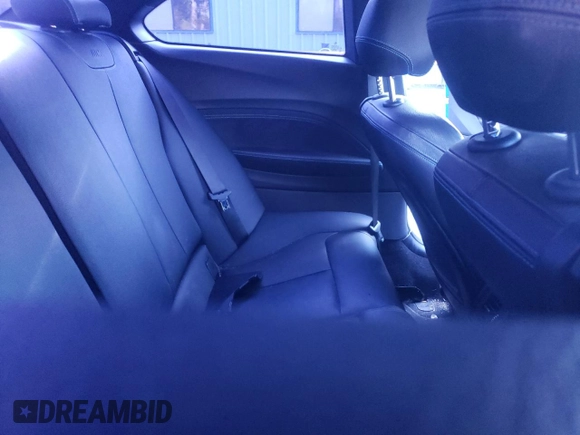 2017 BMW M2 with VIN WBS1H9C55HV786233, listed as a Copart auction lot 63596764 with 0 mi miles and Salvage Title. Bid and sale history available at carsss.com. Image 10.