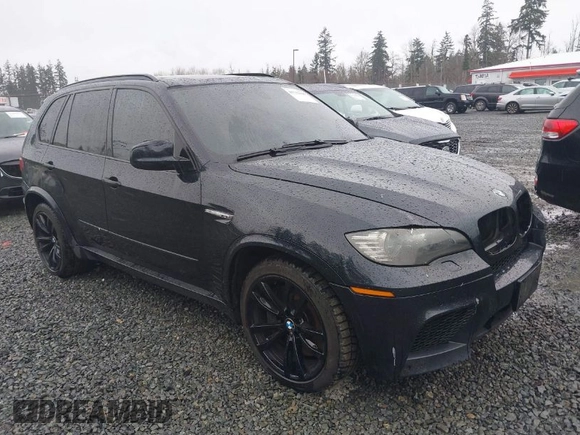 2010 BMW X5 M with VIN 5YMGY0C59ALK25572, listed as a IAAI auction lot 41712140 with 163,226 mi miles. Bid and sale history available at carsss.com. Image 1.