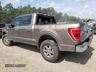 2021 Ford F-150 XL with VIN 1FTFW1E81MFC40903, listed as a Copart auction lot 59618935 with 97,419 mi miles and Salvage title. Bid and sale history available at DreamBid. Image 2.