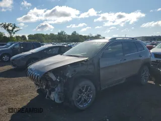2018 Jeep Cherokee Latitude Plus with VIN 1C4PJMLX0JD622295, listed as a Copart auction lot 57679075 with 123,743 mi miles and Salvage title. Bid and sale history available at DreamBid. Image 1.