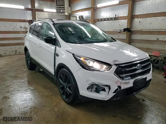 2017 Ford Escape SE with VIN 1FMCU0GD4HUB49960, listed as a Copart auction lot 45650725 with 103,202 mi miles and Salvage Title. Bid and sale history available at carsss.com. Image 14.