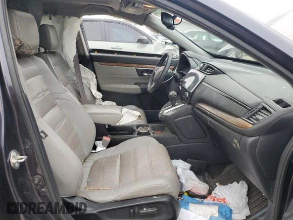 2019 Honda CR-V EX-L with VIN 2HKRW2H8XKH667093, listed as a Copart auction lot 80422394 with 0 mi miles and Salvage Title. Bid and sale history available at carsss.com. Image 7.