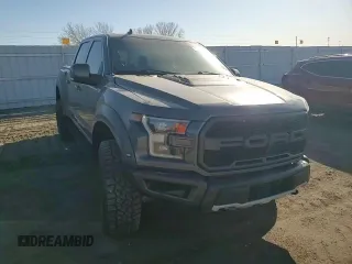 2020 Ford F-150 Raptor with VIN 1FTFW1RG3LFA16497, listed as a Copart auction lot 48388875 with Not Provided miles and Salvage Title. Bid and sale history available at carsss.com. Image 11.