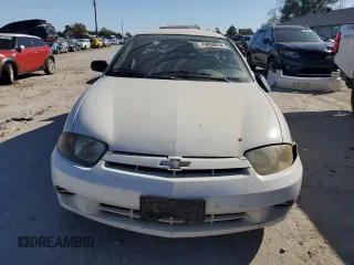 2004 Chevrolet Cavalier with VIN 1G1JC52F247309890, listed as a Copart auction lot 74050814 with 0 mi miles and Salvage Title. Bid and sale history available at carsss.com. Image 5.