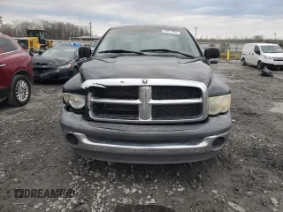 2002 Dodge 1500 with VIN 1D7HA16N02J236188, listed as a Copart auction lot 46077995 with 156,493 mi miles and Salvage title. Bid and sale history available at DreamBid. Image 5.