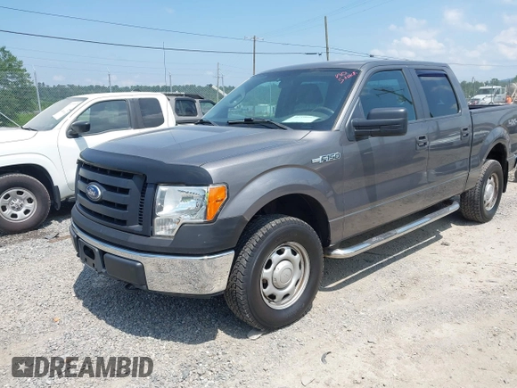 2010 Ford F-150 XL with VIN 1FTEW1E87AFD69672, listed as a IAAI auction lot 42590920 with 117,126 mi miles and . Bid and sale history available at DreamBid. Image 17.