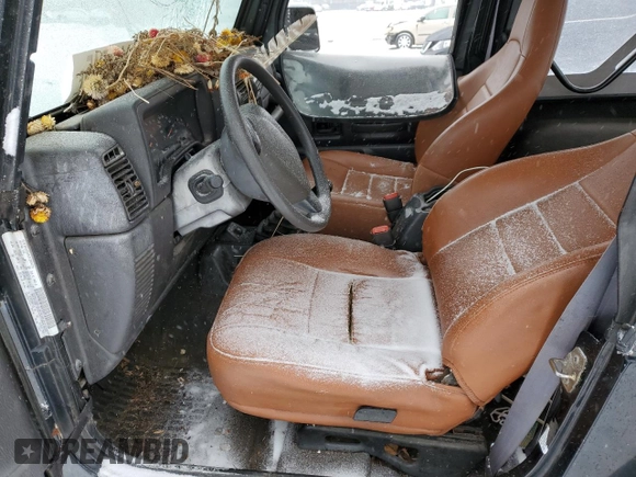 2002 Jeep Wrangler X with VIN 1J4FA39SX2P770191, listed as a Copart auction lot 44118945 with 168,148 mi miles and Salvage Title. Bid and sale history available at carsss.com. Image 7.
