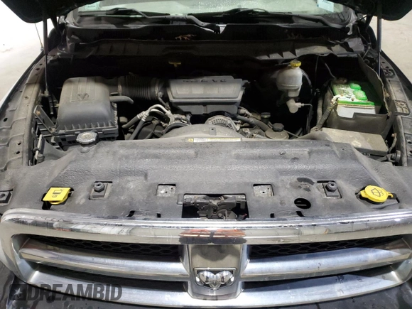2010 Dodge 1500 SLT with VIN 1D7RV1CPXAS114347, listed as a Copart auction lot 79360194 with 170,498 mi miles and Clean Title. Bid and sale history available at carsss.com. Image 11.