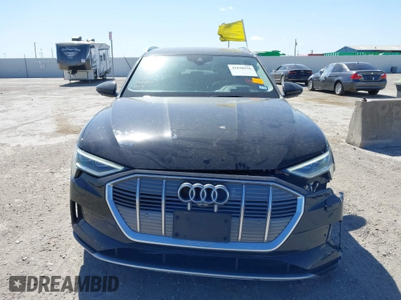 2019 Audi e-tron Prestige with VIN WA1VAAGE6KB020622, listed as a IAAI auction lot 41830236 with 32,835 mi miles and . Bid and sale history available at DreamBid. Image 12.