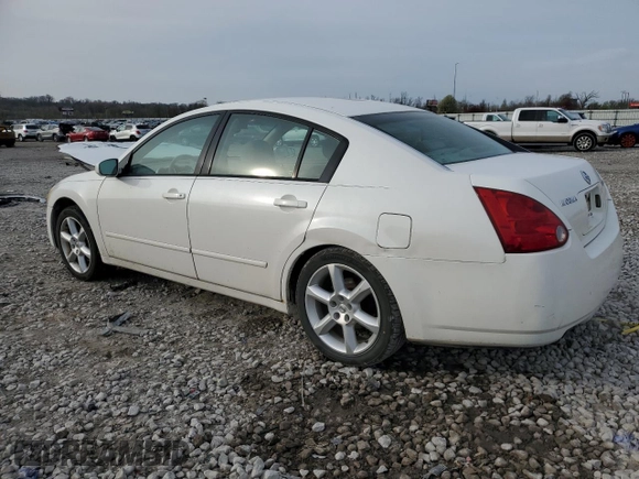 2006 Nissan Maxima SE с VIN 1N4BA41E56C806887, выставлен на аукционе Copart как лот 50897965 с пробегом 150 905 миль миль и Списание • Salvage title. История ставок и продаж доступна на DreamBid. Изображение 2.
