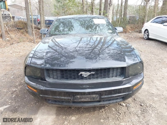 2008 Ford Mustang Deluxe with VIN 1ZVHT80N285195521, listed as a IAAI auction lot 41637280 with 175767 miles. Bid and sale history available at carsss.com. Image 6.