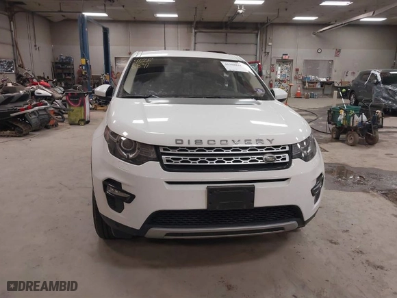 2019 Land Rover Discovery Sport HSE with VIN SALCR2FX0KH786141, listed as a IAAI auction lot 41288841 with NaN miles. Bid and sale history available at carsss.com. Image 12.