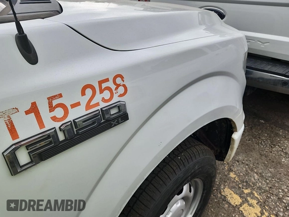 2017 Ford F-150 XL with VIN 1FTEX1EP0HKD42206, listed as a IAAI auction lot 42793663 with 188,845 mi miles and . Bid and sale history available at DreamBid. Image 13.