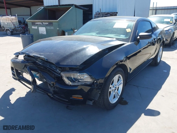 2013 Ford Mustang V6 with VIN 1ZVBP8AM8D5259572, listed as a IAAI auction lot 41655526 with 42,753 mi miles. Bid and sale history available at carsss.com. Image 21.