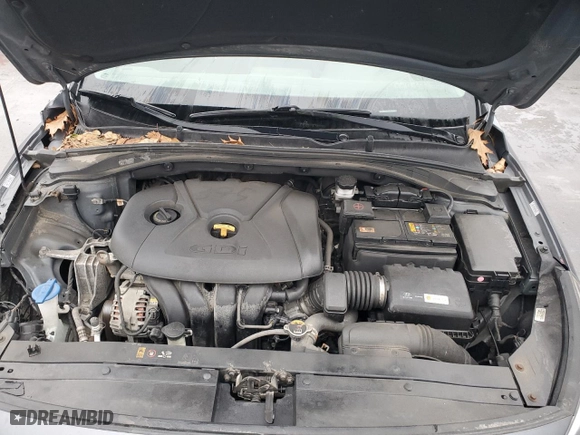 2019 Hyundai Elantra GT with VIN KMHH35LE8KU117427, listed as a Copart auction lot 81702864 with NaN miles and Salvage Title. Bid and sale history available at carsss.com. Image 12.