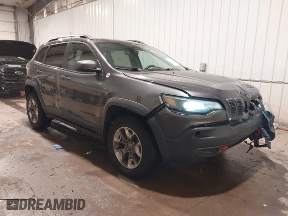 2019 Jeep Cherokee Trailhawk Elite with VIN 1C4PJMBX8KD298807, listed as a IAAI auction lot 41107062 with 79,685 mi miles. Bid and sale history available at carsss.com. Image 1.
