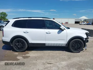 2024 Kia Telluride SX X-Pro с VIN 5XYP5DGC2RG533689, выставлен на аукционе IAAI как лот 42209421 с пробегом 19 325 миль миль и . История ставок и продаж доступна на DreamBid. Изображение 14.