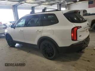 2021 Kia Telluride SX with VIN 5XYP5DHC7MG152914, listed as a Copart auction lot 54172835 with 109,105 mi miles and Salvage title. Bid and sale history available at DreamBid. Image 2.