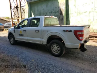 2023 Ford F-150 XL with VIN 1FTEW1EBXPKE80986, listed as a Copart auction lot 60357284 with 10,525 mi miles and Salvage Title. Bid and sale history available at carsss.com. Image 2.