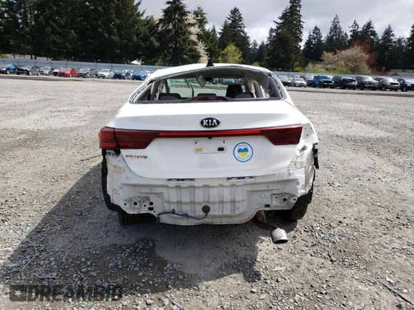 2019 Kia Forte LXS with VIN 3KPF24AD8KE033495, listed as a Copart auction lot 53918625 with Not provided miles and Non repairable. Bid and sale history available at DreamBid. Image 6.