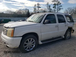 2002 Cadillac Escalade z VIN 1GYEC63T82R129215, wystawiony jako Copart lot #46302515 z przebiegiem 274 078 mil mil oraz Szkody całkowita. Historia ofert i sprzedaży dostępna na DreamBid. Obrazek 1.