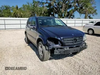 2002 Mercedes-Benz M-Class with VIN 4JGAB54E02A362341, listed as a Copart auction lot 81899714 with 179,361 mi miles and Salvage Title. Bid and sale history available at carsss.com. Image 12.