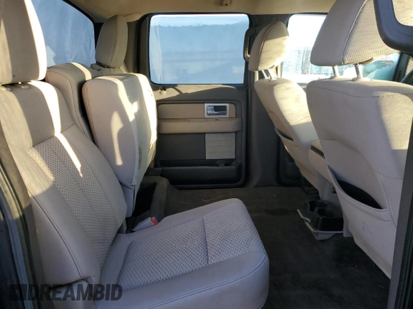 2010 Ford F-150 XL with VIN 1FTFW1EV9AFD21293, listed as a Copart auction lot 77943404 with 123,165 mi miles and Salvage title. Bid and sale history available at DreamBid. Image 10.