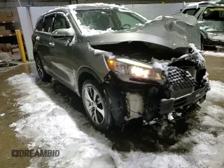 2016 Kia Sorento EX with VIN 5XYPHDA15GG003728, listed as a Copart auction lot 43849025 with 142,620 mi miles and Salvage Title. Bid and sale history available at DreamBid. Image 11.