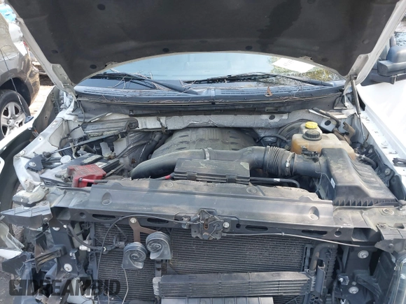 2014 Ford F-150 XL with VIN 1FTFX1CTXEFC01524, listed as a IAAI auction lot 41955270 with 251,992 mi miles. Bid and sale history available at carsss.com. Image 10.