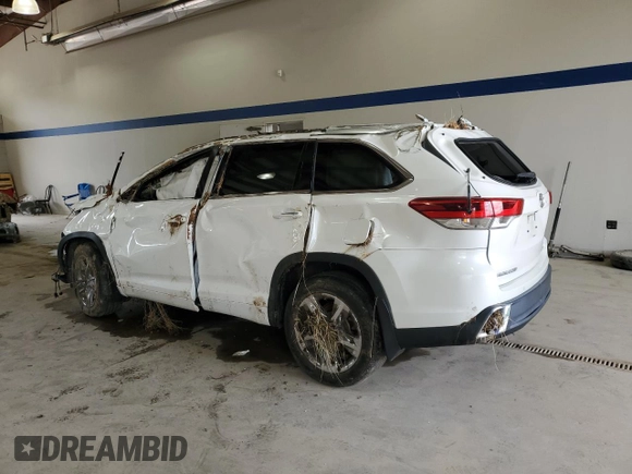 2019 Toyota Highlander Limited with VIN 5TDDZRFH6KS968533, listed as a Copart auction lot 64466135 with Not provided miles and Salvage title. Bid and sale history available at DreamBid. Image 2.